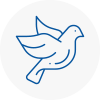 Bird Prevention Dursley