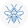 Dursley Hornet Nest Removals