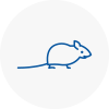 Mice Exterminators In Dursley