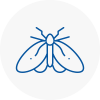 Moth Control Specialists In Dursley