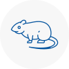 Rat Control Dursley