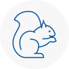 Dursley Rodent Removals