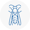 Dursley Wasp Nest Removal